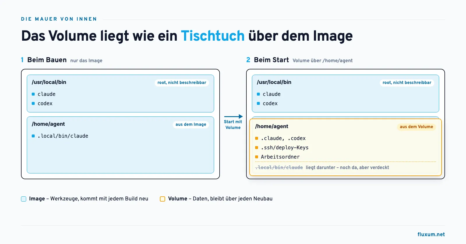 Das Volume liegt wie ein Tischtuch über dem Image: Beim Bauen liegt Claude Code auch unter /home/agent/.local/bin, beim Start verdeckt das Volume mit Einstellungen, Deploy-Keys und Arbeitsordnern diese Kopie, während /usr/local/bin mit claude und codex sichtbar bleibt