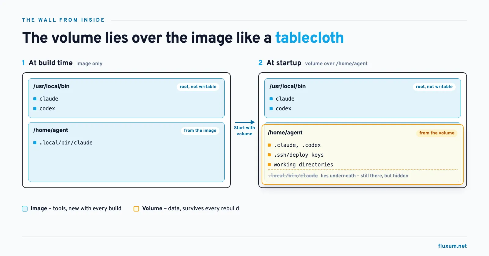 The volume lies over the image like a tablecloth: at build time, Claude Code also sits in /home/agent/.local/bin; at startup, the volume with settings, deploy keys and working directories covers that copy, while /usr/local/bin with claude and codex stays visible